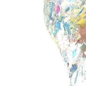 Meet your Posher, Frieda